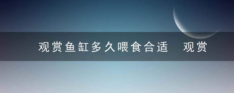 观赏鱼缸多久喂食合适 观赏鱼缸多长时间喂食合适